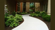 American Modern Landscape