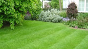 Reyes Lawn Service