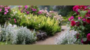 O'Connell Landscape Maintenance