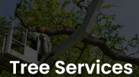 Tree Services