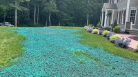 Hydroseeding