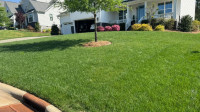 Lawn Fertilization
