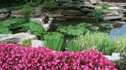 Greater Detroit Landscape Services