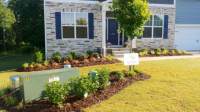 Landscape Design