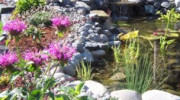 Evergreen Landscaping & Ponds